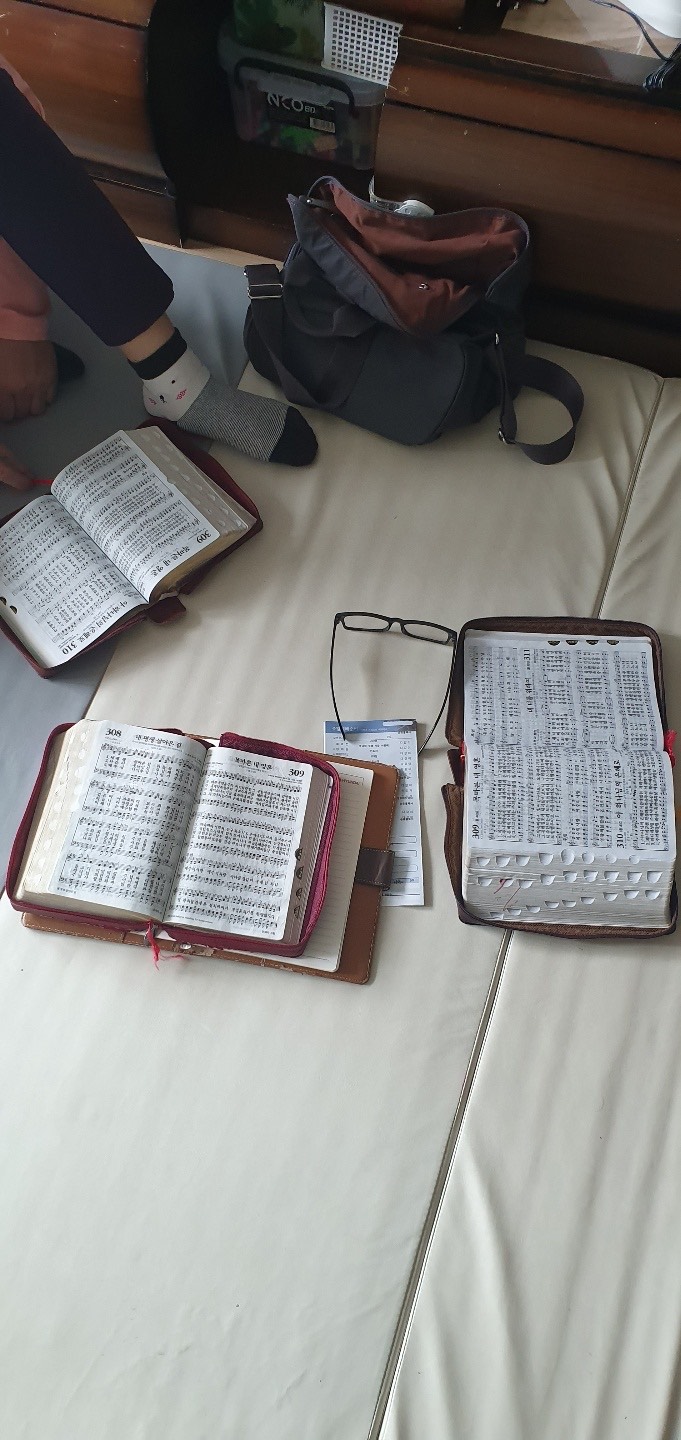 image_6487327 (2).JPG